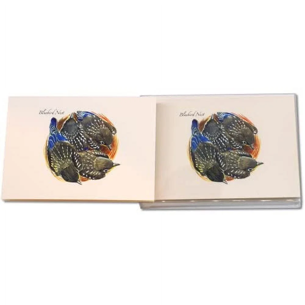 Earth Sky + Water - Bluebird Nest Notecard Set - 8 Blank Cards with Envelopes